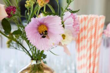 Social Event Planner NYC