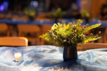 Best Event Planner